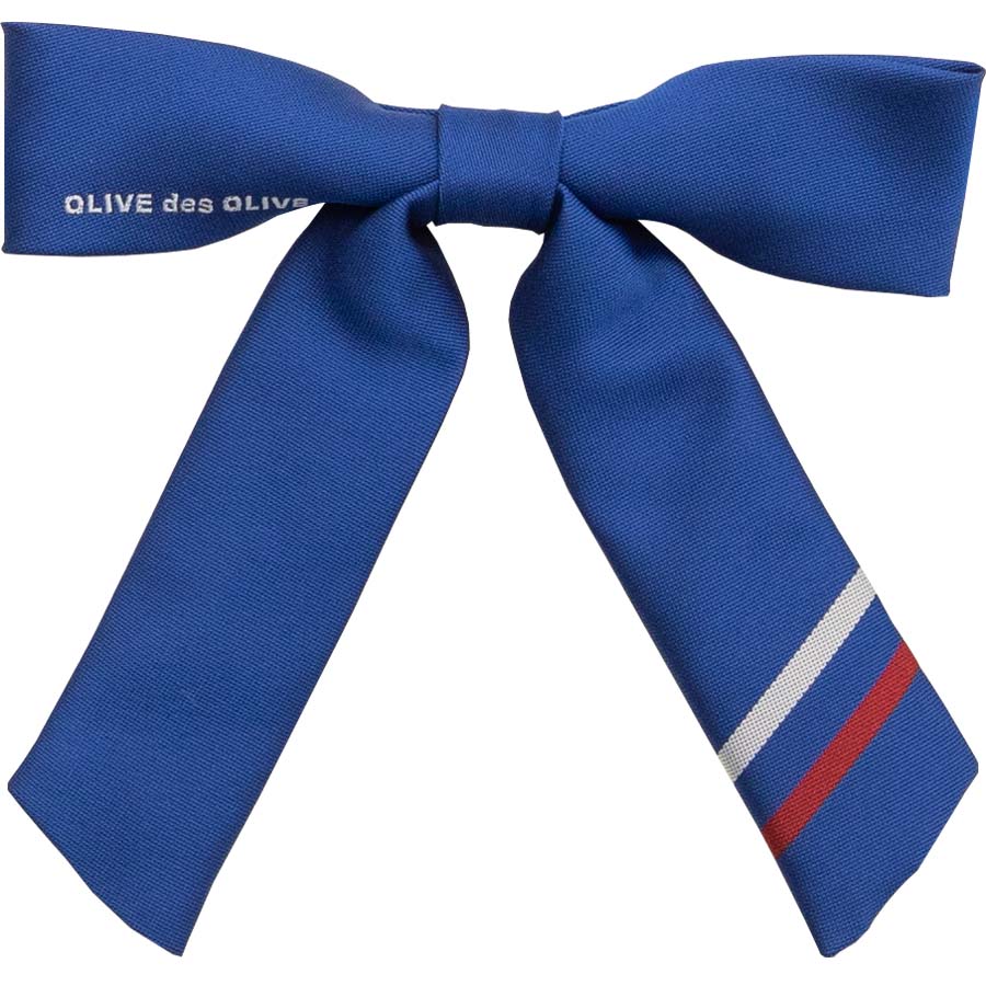 2K50018-85　ロゴ＆ラインリボン青