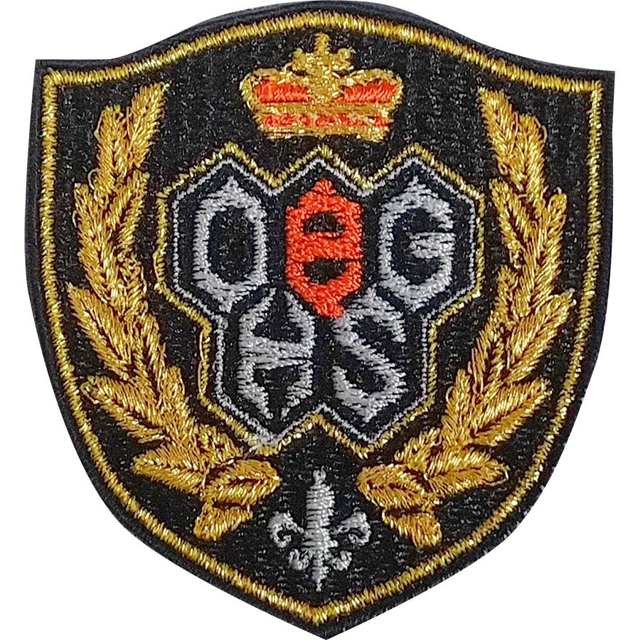 大阪eゲームズ高等学院ブレザー用エンブレム（OeG）