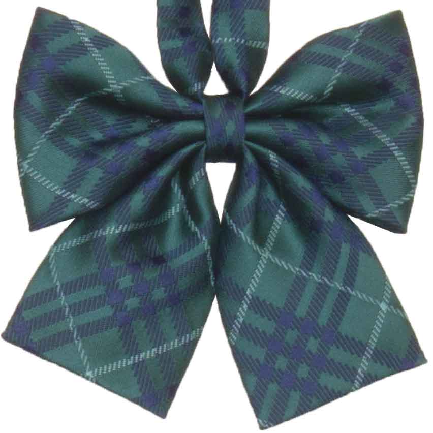 グリーンチェックリボン 森の湖畔