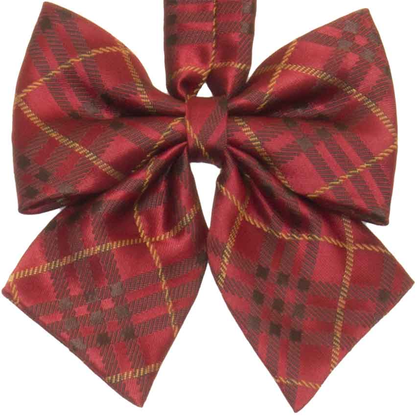 赤チェックリボン 新しい出会い