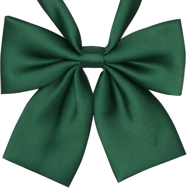 小さめ無地光沢リボン（グリーン） Forest Elemental