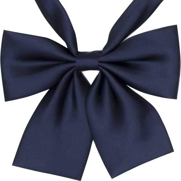 小さめ無地光沢リボン（濃紺） Galaxy Elemental