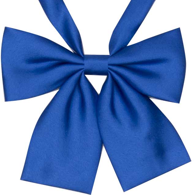 小さめ無地光沢リボン（花紺） River Elemental