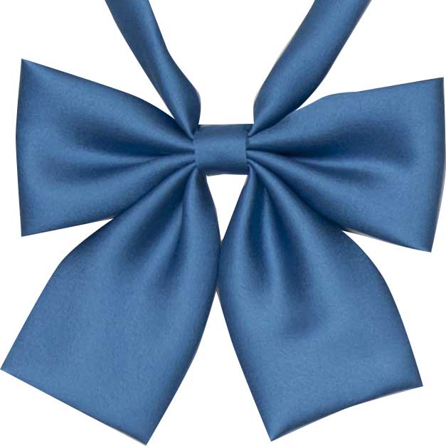 小さめ無地光沢リボン（サックス） Sky Elemental