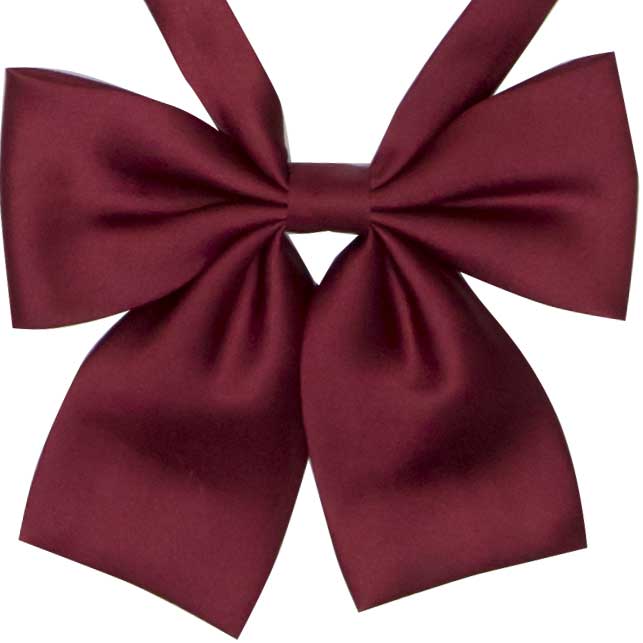 小さめ無地光沢リボン（えんじ） Berry Elemental
