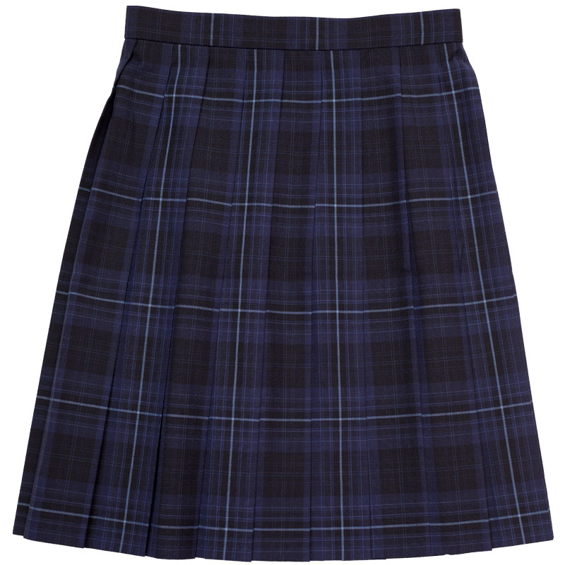 SKR423 ぴゅあマジック　～紺ブルーチェックサマースカート