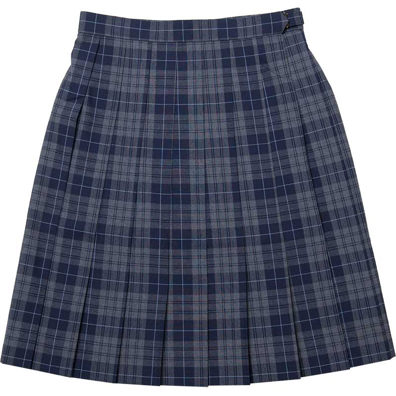 SKR277 麗しのキミ　～グレー紺サマースカート