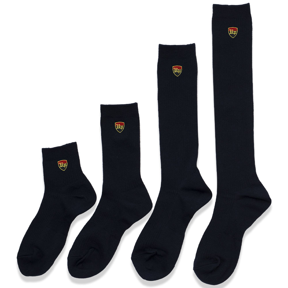 アップ高等学院 校章刺繍入りスクールソックス紺