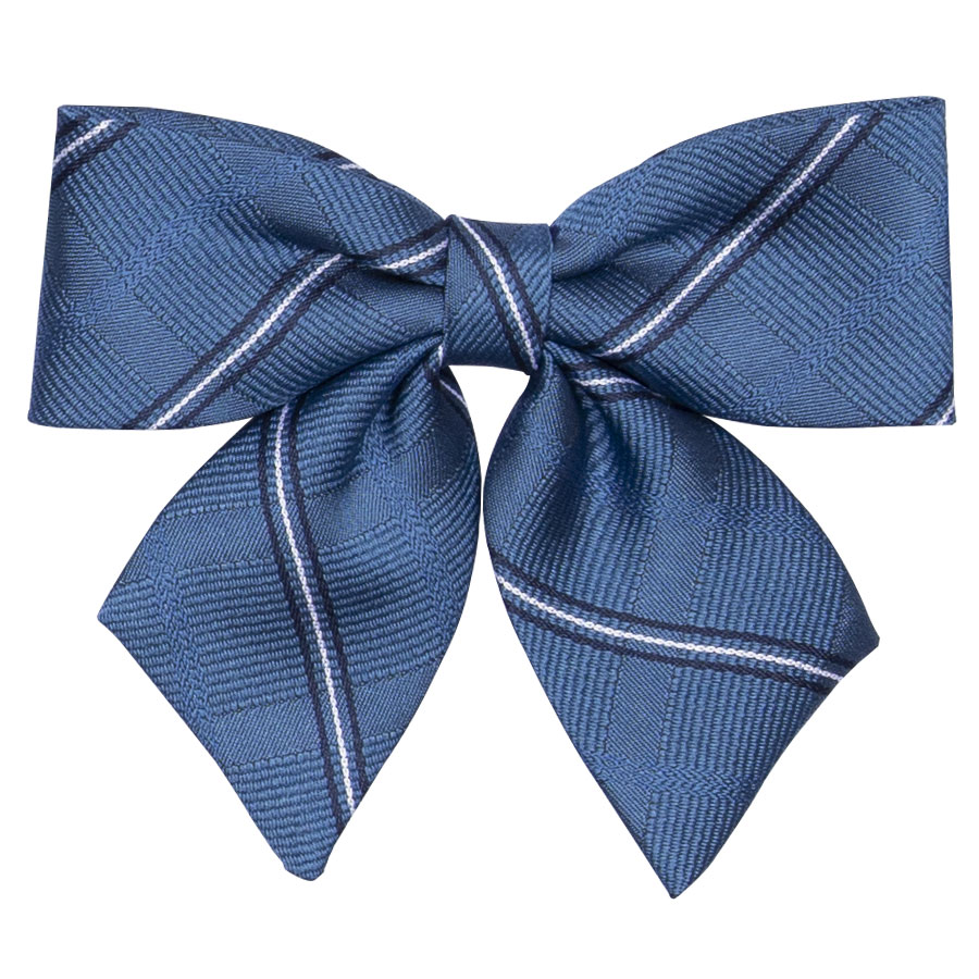 ストライプブルーリボン(ECC)