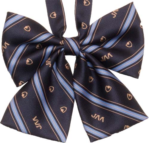 RSR-101 ストライプクレストリボン紺（JAA)